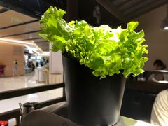 -九田家黑牛烤肉料理(太阳宫广场店)