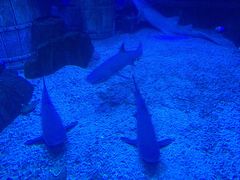 -皇家极地海洋世界-售票处