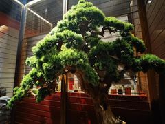 -牛村来人潮汕牛肉火锅(西单店)