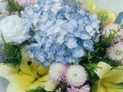 -上海星瀚奔驰4S店(红柳路店)