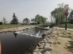 -咸阳湖景区-古渡公园