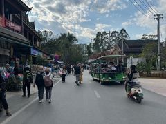 -西双版纳傣族园