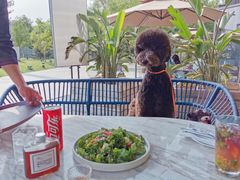 -The Rug Cafe(王府中环店)