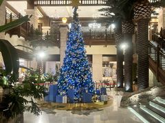 -太湖饭店玉兰厅(自助餐厅)