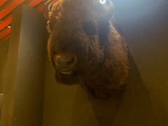 -drivepro(三里屯店)