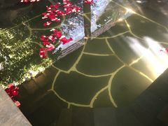 -昆明柏联SPA温泉