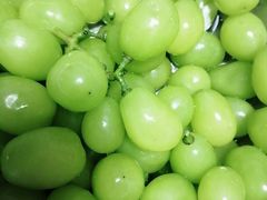 -新辣道鱼火锅(领展购物广场·中关村店)
