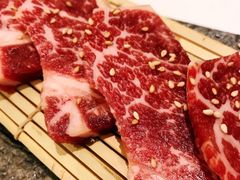 -千寻山野烤肉(中关村店)