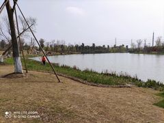 -九科绿洲