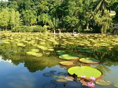 -中国科学院西双版纳热带植物园