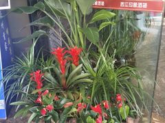 -西江印象酒楼
