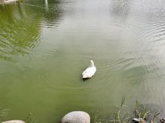 -Club Med地中海俱乐部·桂林度假村