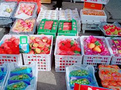 -堤口果品批发市场