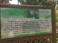 -御林古桑园