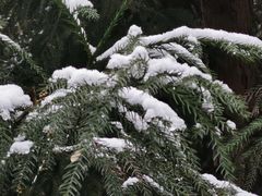 -西岭雪山大飞水景区