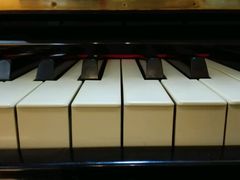 -梅纳·钢琴声乐架子鼓Mena Music(双井店)