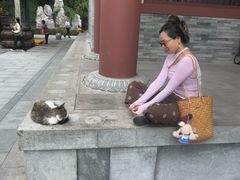-天龙宝严素食馆(大兴善寺店)