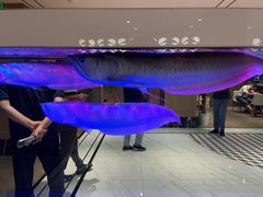 -白玉兰酒店(上海田子坊马当路地铁站店)