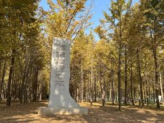 -汉景帝阳陵博物院