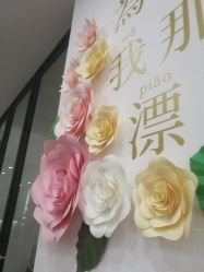 -Lab Season惜辰颜究社