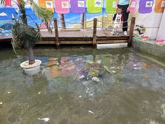 -嘉兴海底世界