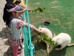 -西霞口神雕山野生动物世界