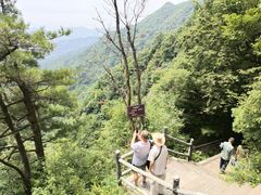 -王顺山国家森林公园
