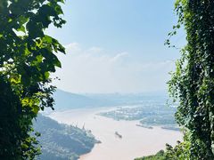 -铁山坪森林公园