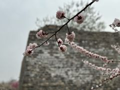-北京明城墙遗址公园