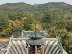 -普乐寺
