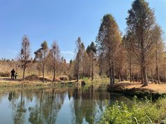 -捞渔河湿地公园