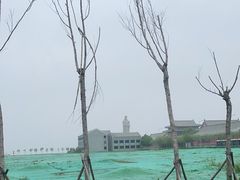 -天津妈祖文化园