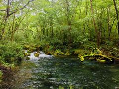 -叠溪松坪沟景区