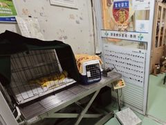 -邦泰·异宠动物医院