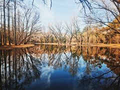 -上海共青森林公园