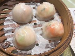 -满福隆酒楼(万绿园店)