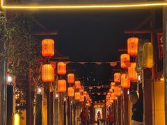 -侠舍·江湖烤全羊·大排档(沌口总店)