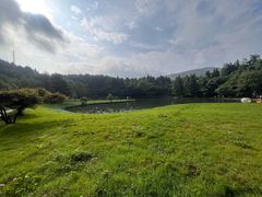 -武陵山森林公园