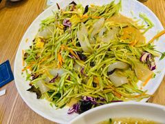 五彩拉皮-小桃红·东北菜·春饼烤鸭(南阳湖街店)