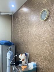 -上海首尔丽格医疗美容医院