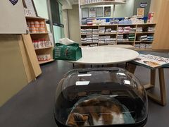 -申普宠物医院·心脏介入·心血管微创(总院)