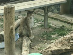 -青藏高原野生动物园
