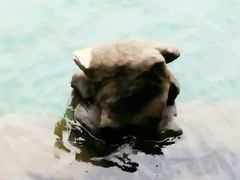 -石燕湖生态旅游景区