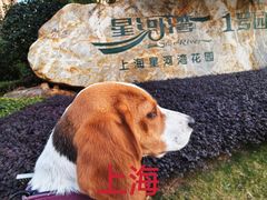 -上海凯宾斯基大酒店