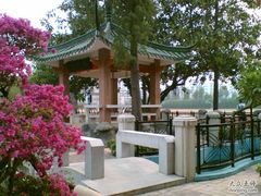 -广东仲元中学