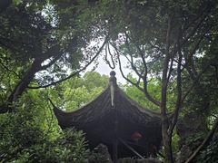 -绮园景区
