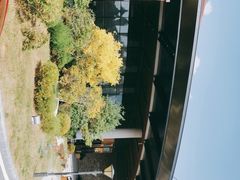 -大连金石滩绿发温泉假日酒店
