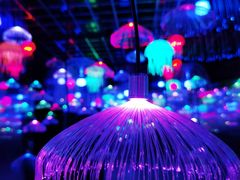 -南湖梦幻岛
