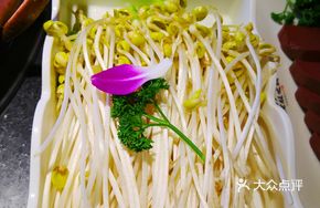 Chongqing Bean Sprouts
