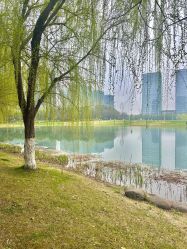 点击看大图 -大美母婴湖畔月子中心(江宁店)